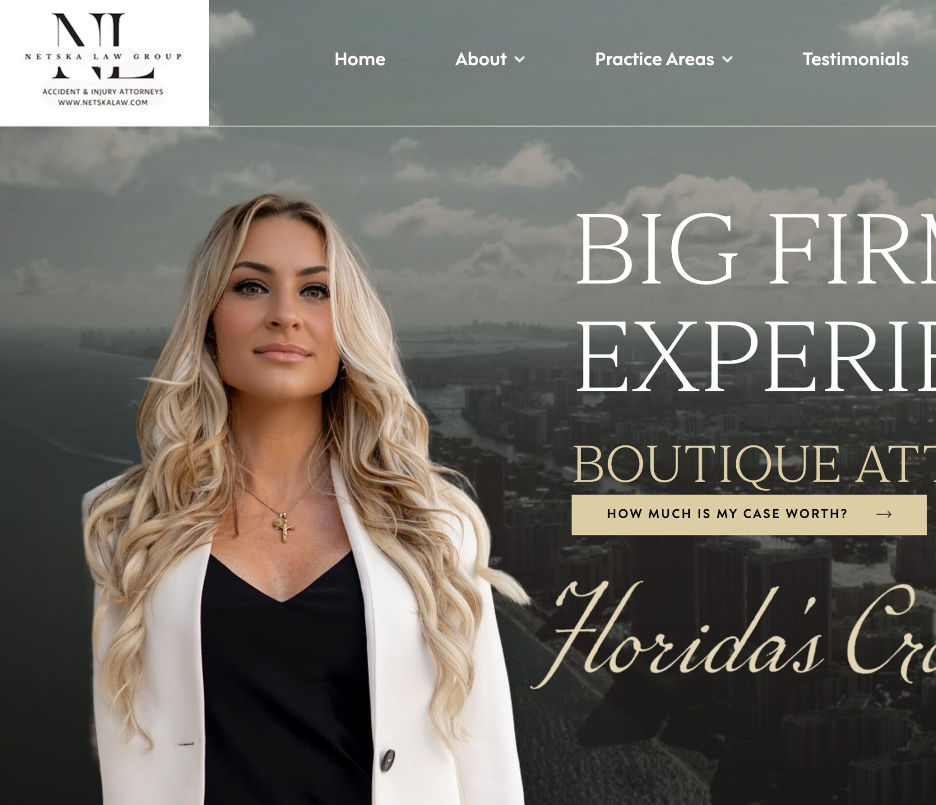 homepage of netskalaw.com