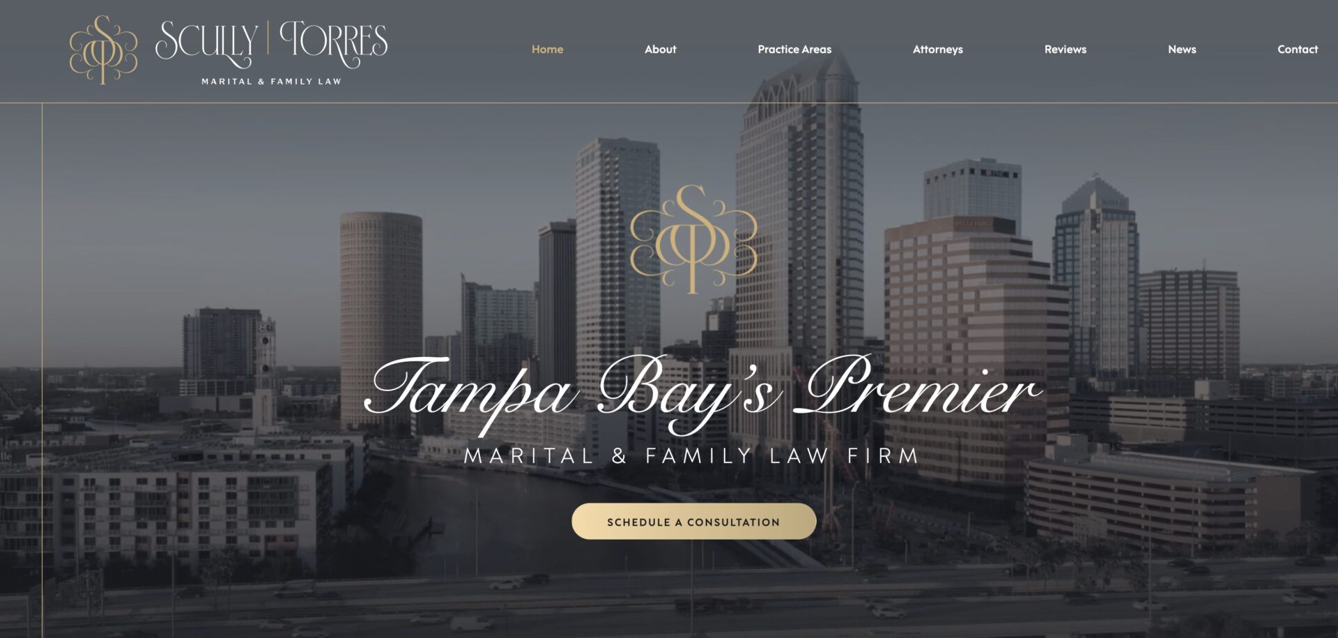 Homepage screenshot Scully Torres